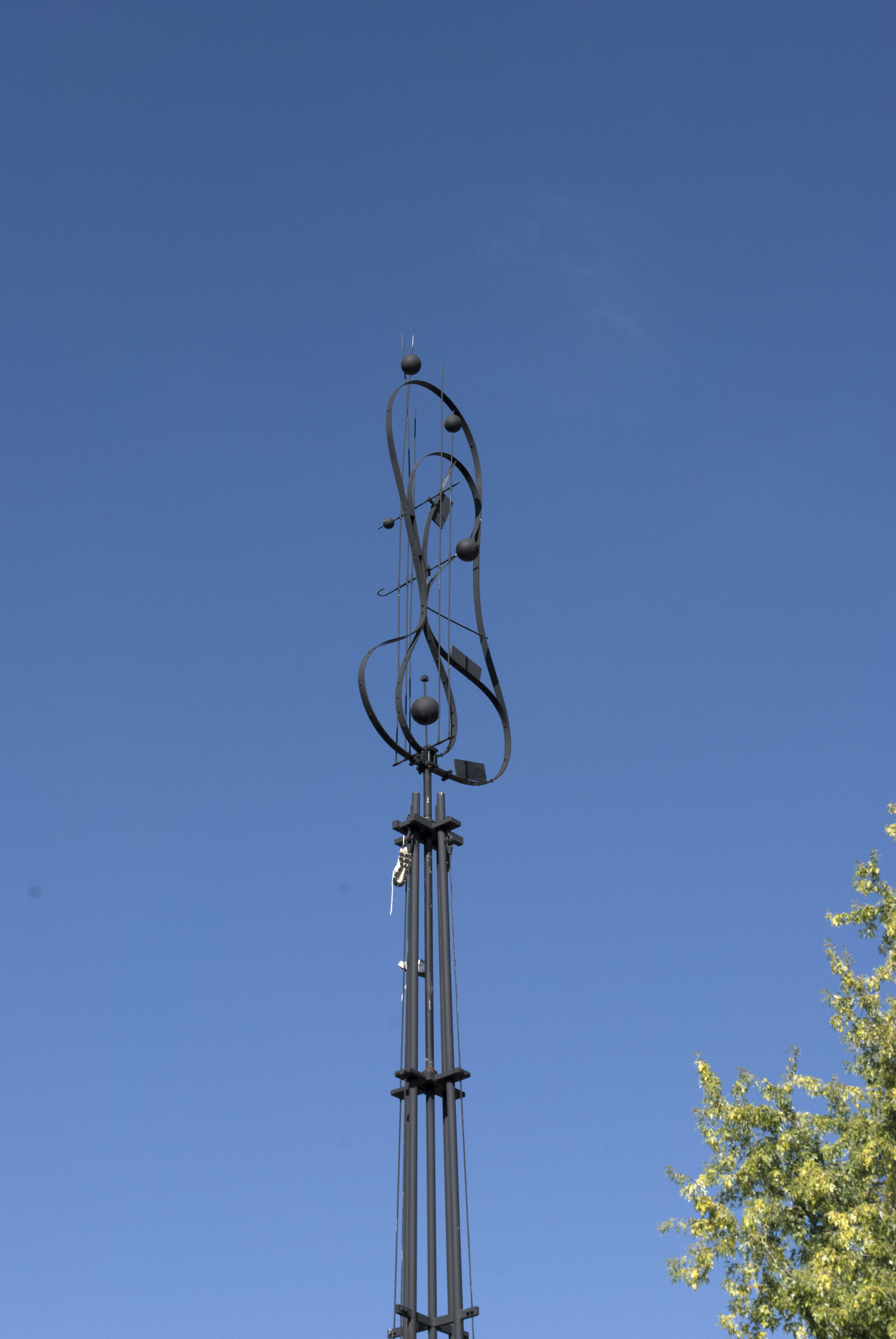 Fleur du ciel, grande
