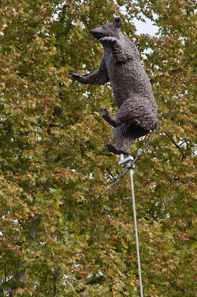 Balancierender Bär
