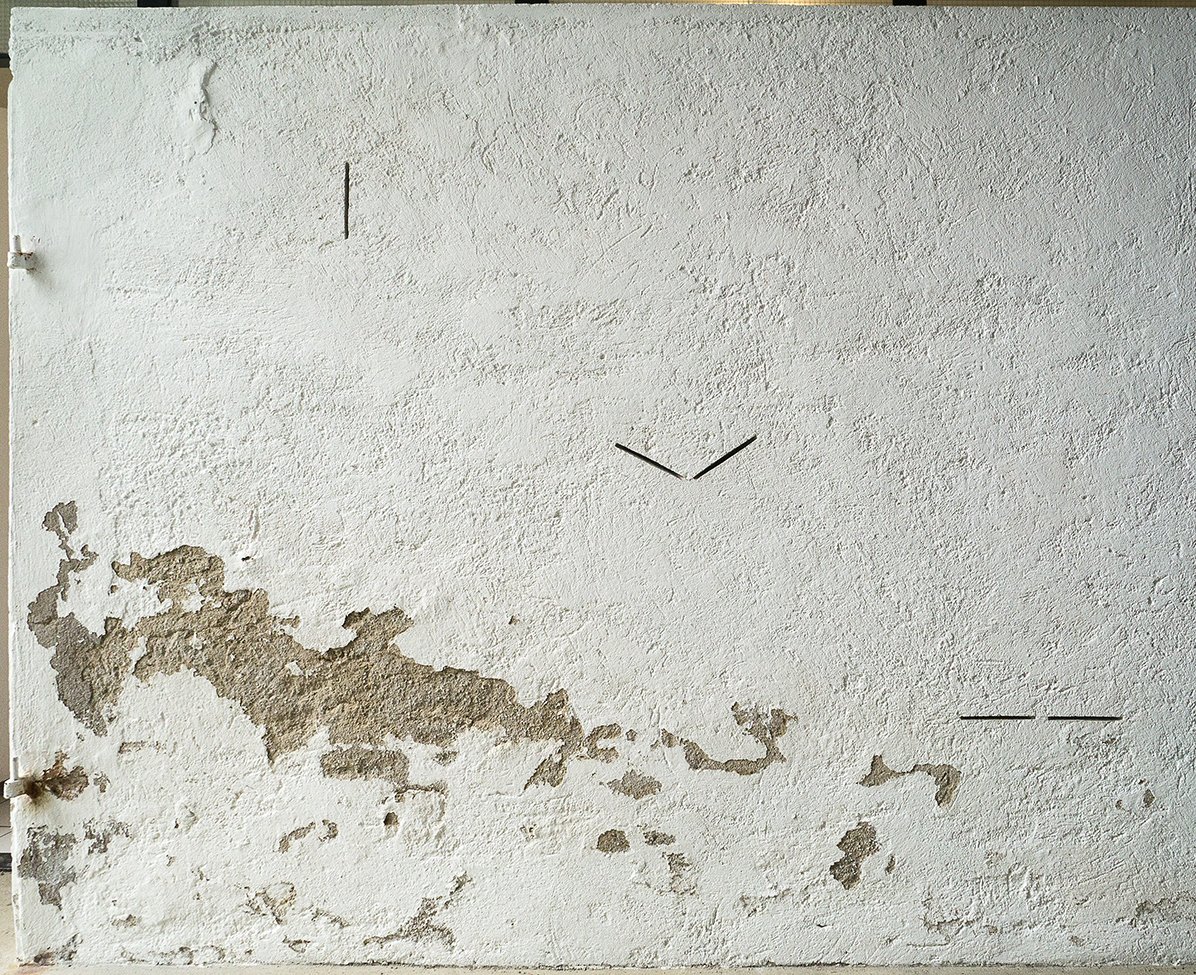 Hommage à Muybridge